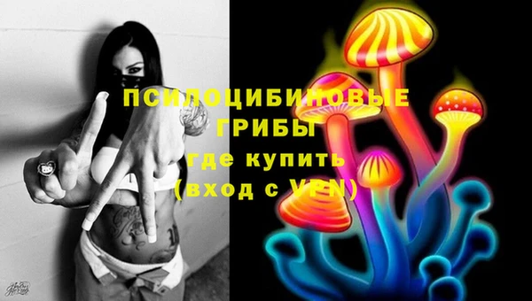 стаф Вязники