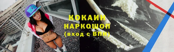 spice Горняк