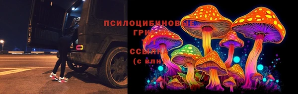 не бодяженный Горнозаводск
