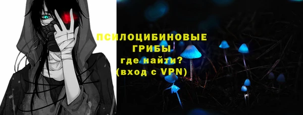 стаф Вязники