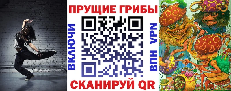Псилоцибиновые грибы Psilocybe Купить где Пикалёво