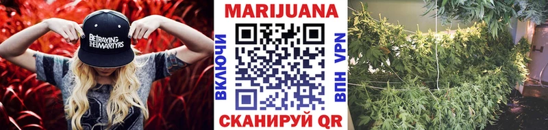 Купить где Пикалёво Шишки марихуана индика